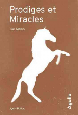 Joe Meno – Prodiges et miracles