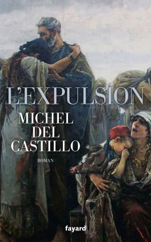 Michel Del Castillo – L’expulsion