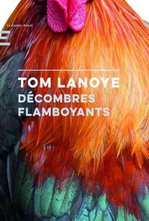 Tom Lanoye – Décombres Flamboyants